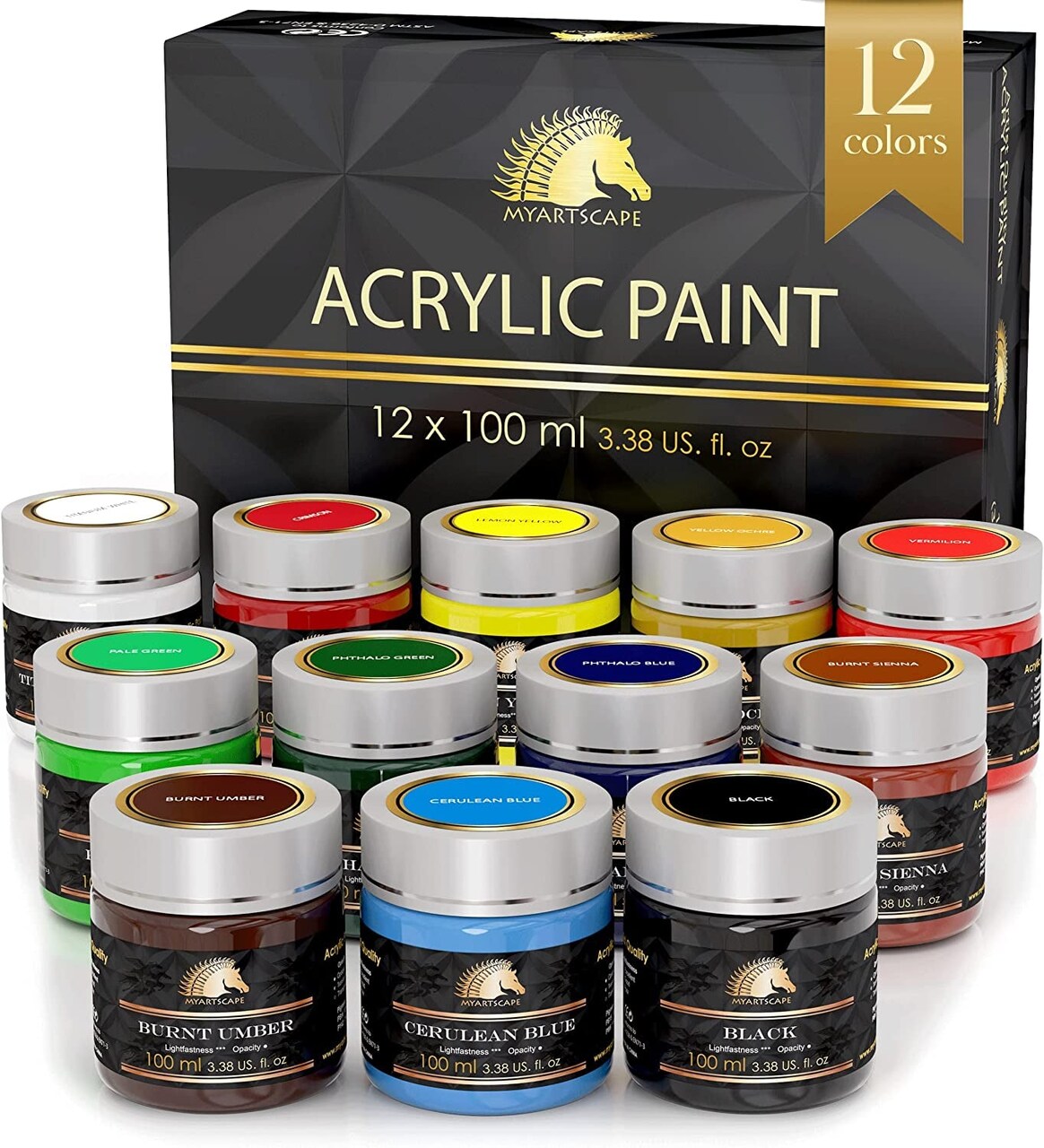 Acrylic Paint Set - 12 X 100Ml Bottles - Artist Quality Paints - Lightfast - Heavy Body - Highly Pigmented Colors with Great Coverage - Professional Art Supplies